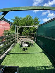 Rented by Terra Magia Inc