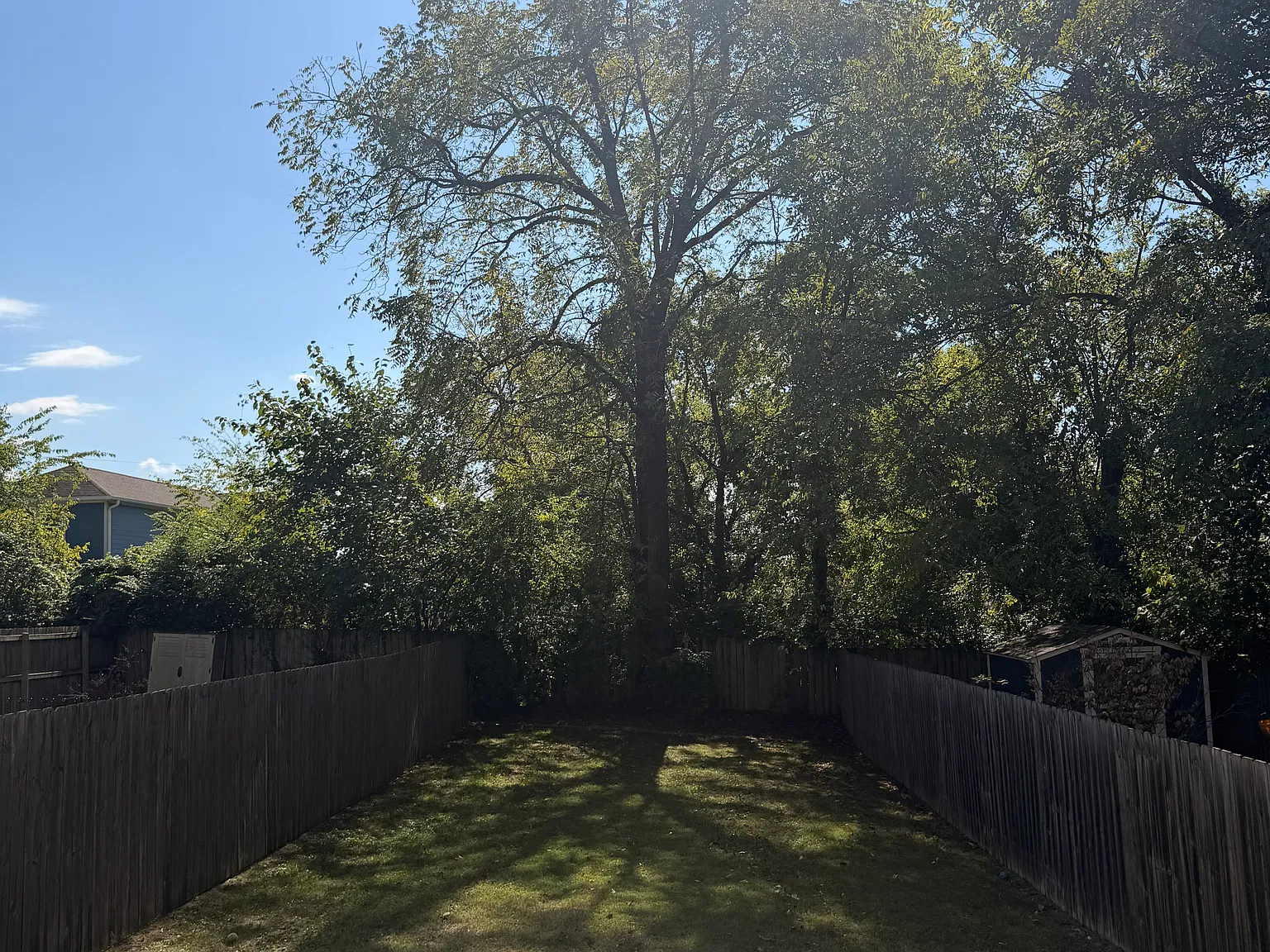 3 bed, 1850 sqft, $3,200 — Photo 3
