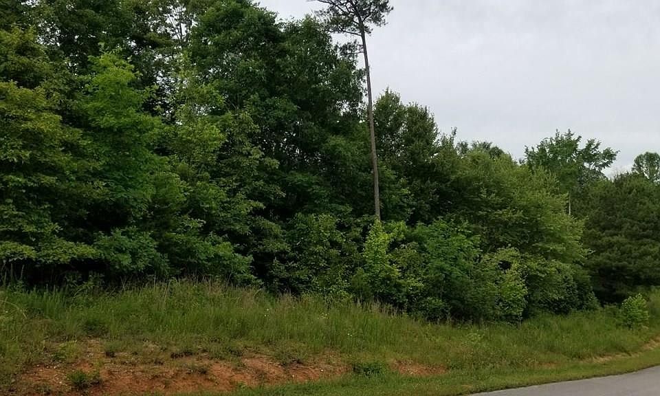 1st image of 480 Ten Mile Ln Lot 14