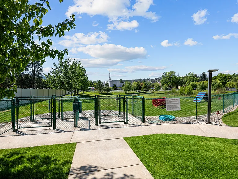 Dog Park