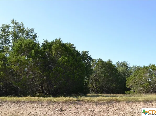 14 Lampasas River Pl, Kempner, TX 76539