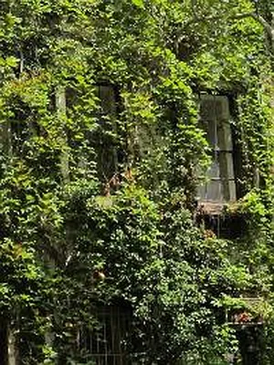 Rented by Corcoran | media 14