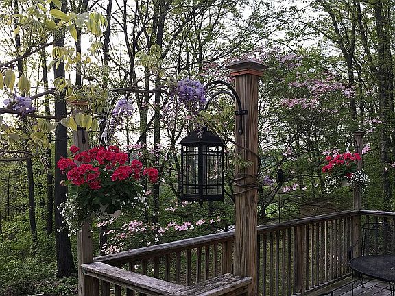 Spring flowers on deck