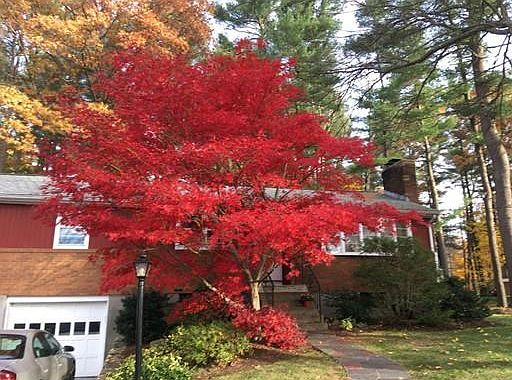 2nd image of 22 Pine St
