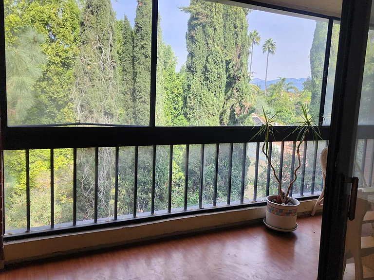 4477 Wilshire Blvd #310 — Photo 16