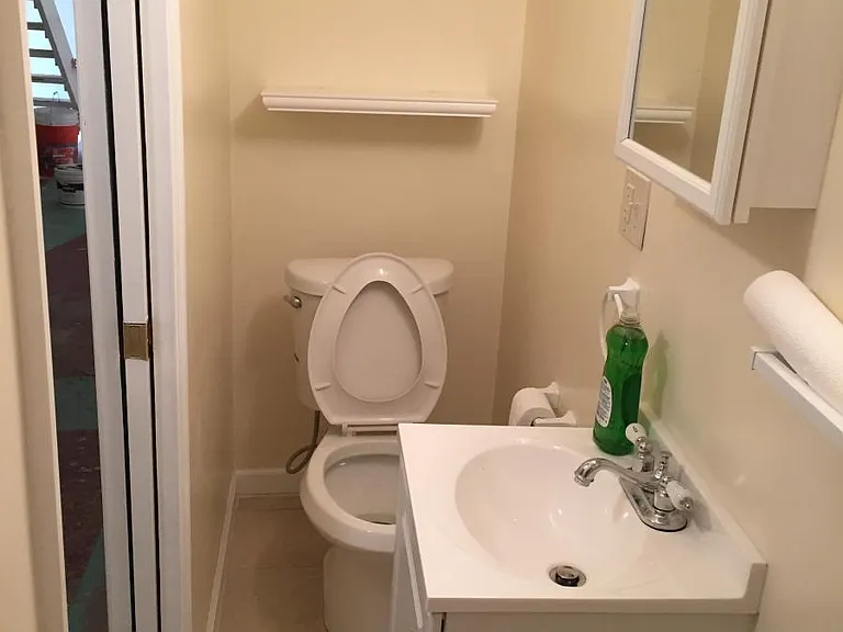 210 Marion Ave — Photo 20