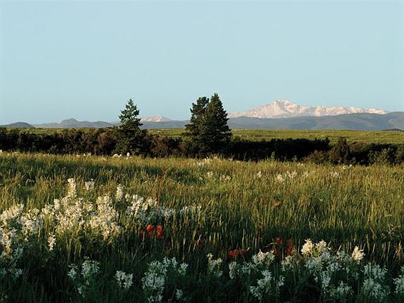 3rd image of 97 Stone Pointe Trl