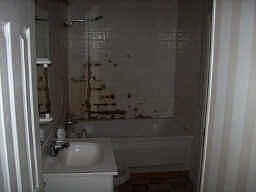 2nd image of 1020 Comal Ave