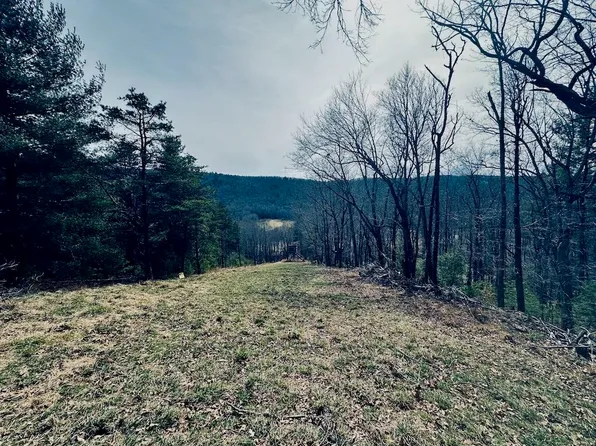 Tbd Spur Branch Rd, Dublin, VA 24084