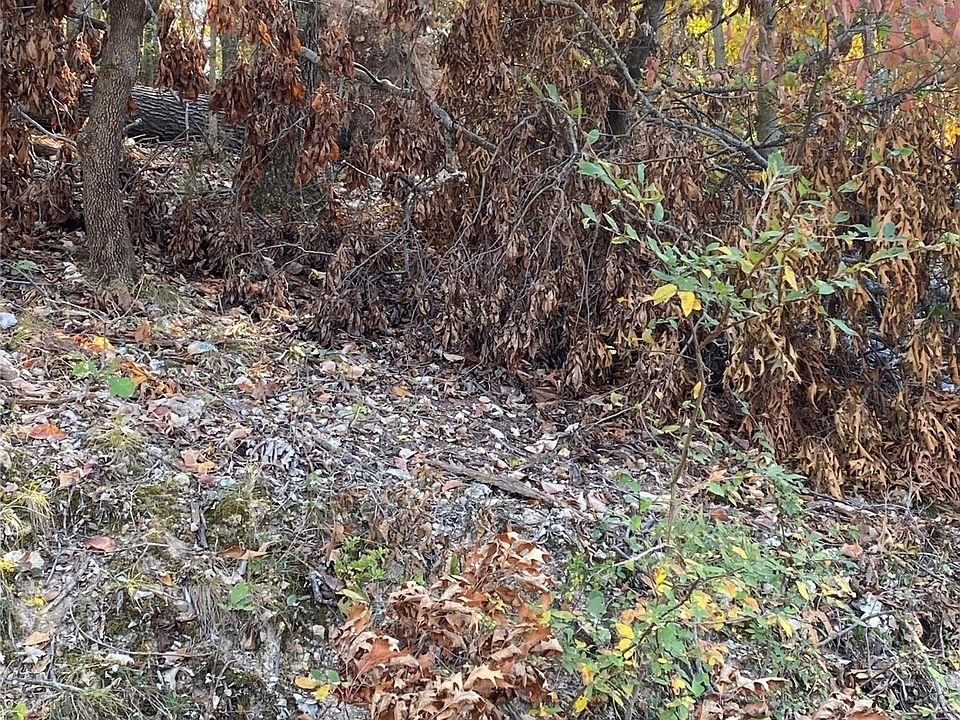 2nd image of Walnut St