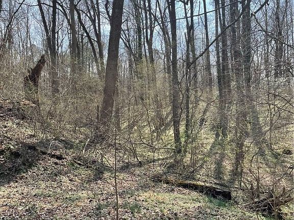 5th image of 0 Laurel Park Rd Lot 22