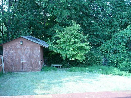 back yard with powered shed