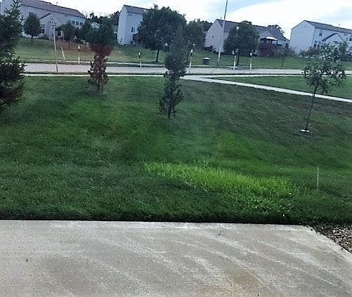 Patio View