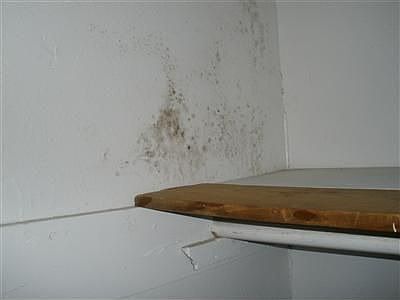 2nd image of 3647 S Odell Ave