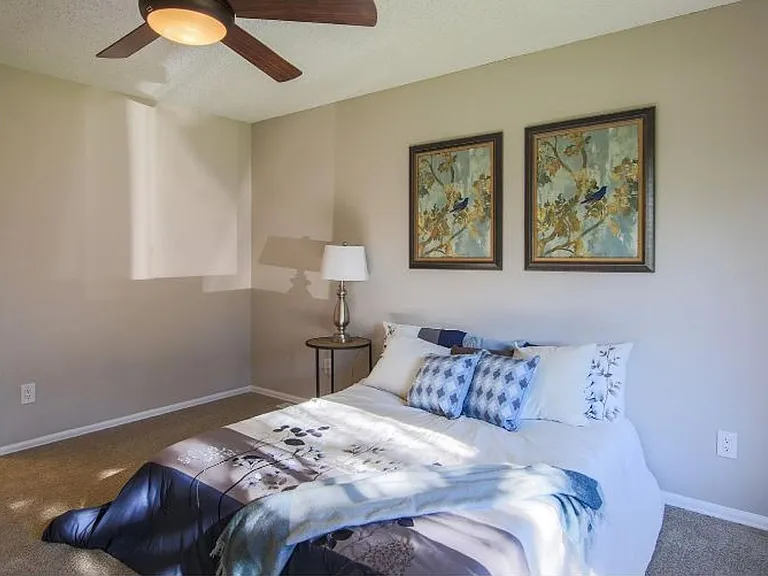 2910 Rolling Wood Loop — Photo 10