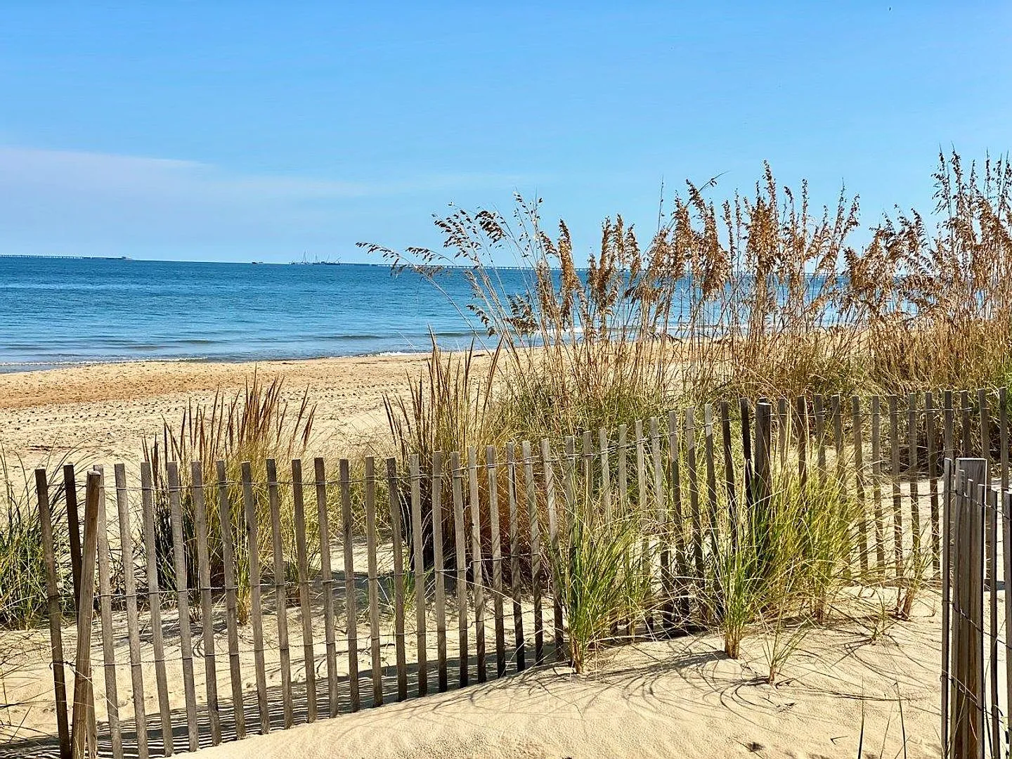 Cozy Cottage By The Sea! 3/2 Available 11-16-26! Pet Friendly - Fenced Backyard! — Photo 3