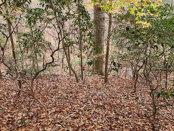 4th image of 20575 Peaches Hide A Way