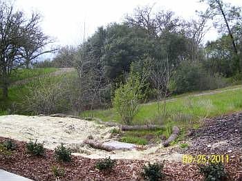 2nd image of 110 Blossom Rock Ln