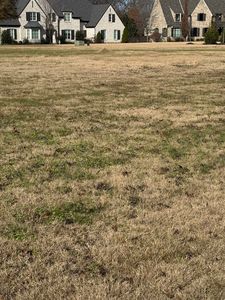 364 Black Duke Circle W Circle Flt #91, Collierville, TN, 38017