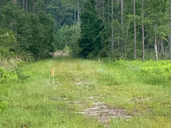 6136 Us Highway 301, Bryceville, FL 32009