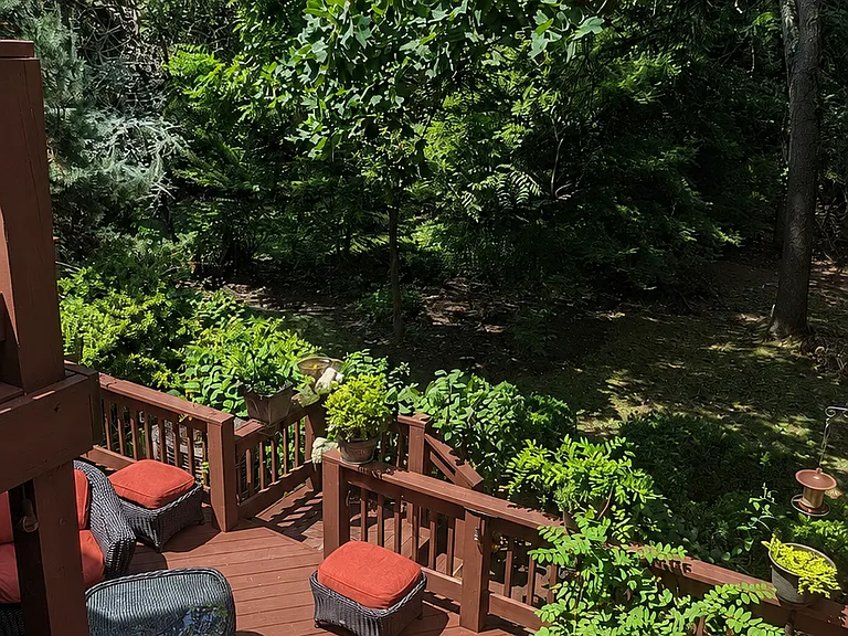 Breakfast area provides a natural setting with surrounding woods.