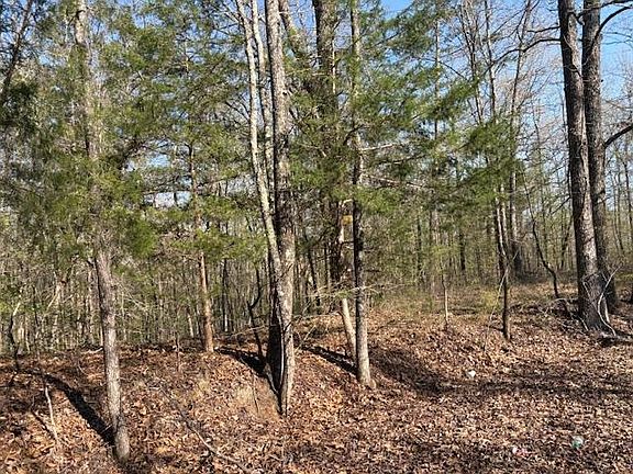 3rd image of 0 Gooch Store Rd