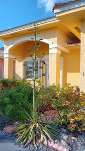 14551 SW 180th Ter, Miami, FL, 33177