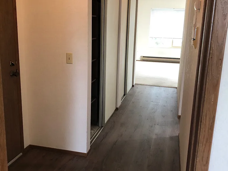 HALLWAY WITH LOTS OF STORAGE TO YOUR RIGHT, PANTRY SHELVES. CLOSETS