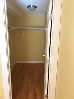 closet ( master bedroom)