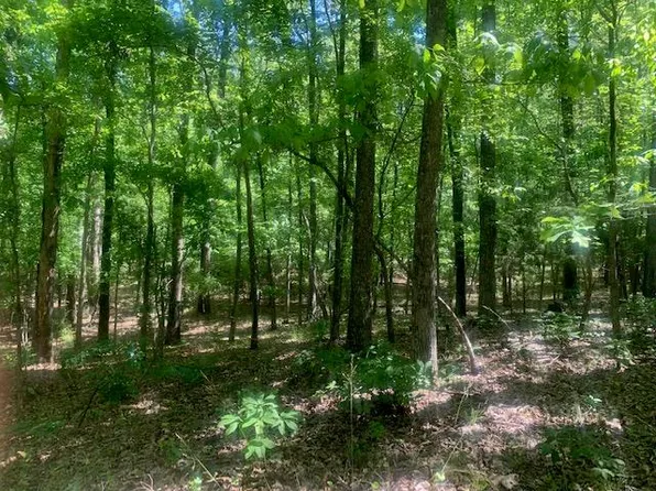 Lots 130 & 131 Piedmont Lake Rd, Pine Mountain, GA 31822