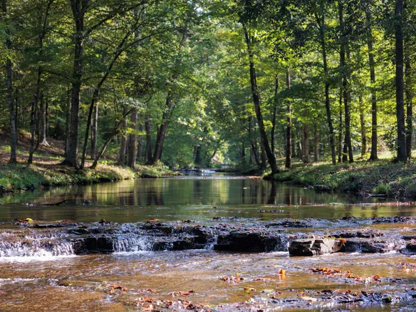 7795 Barnhill Rd, Primm Springs, TN 38476