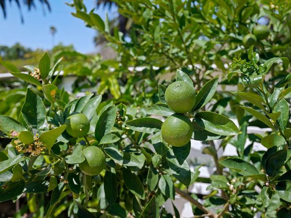 Thumbnail 20