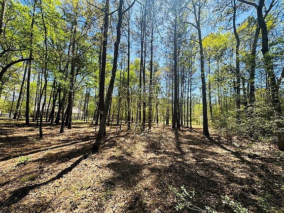 3rd image of 0 Creekbend Dr