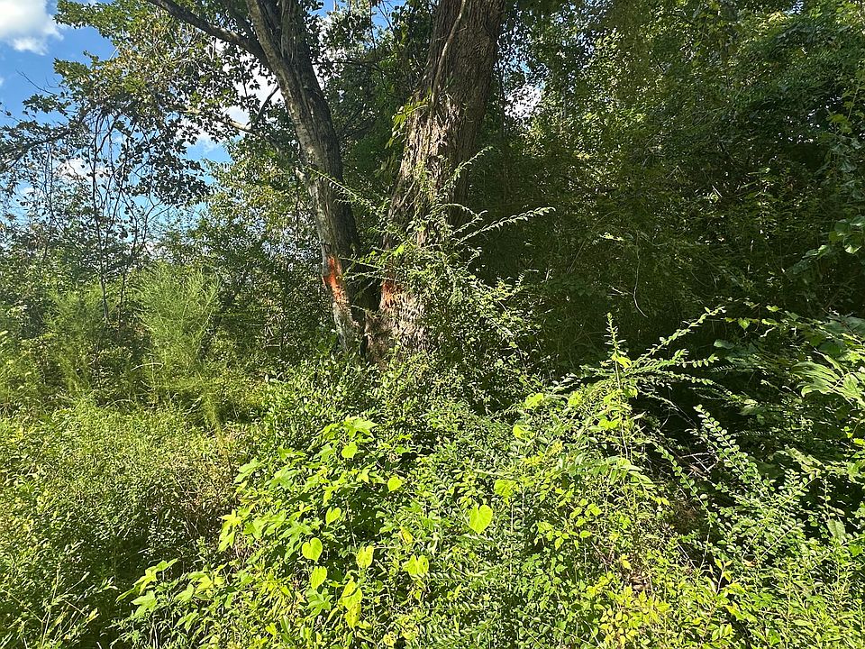 2nd image of 0 Beason Rd