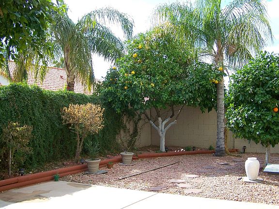 5th image of 11359 E Jenan Dr