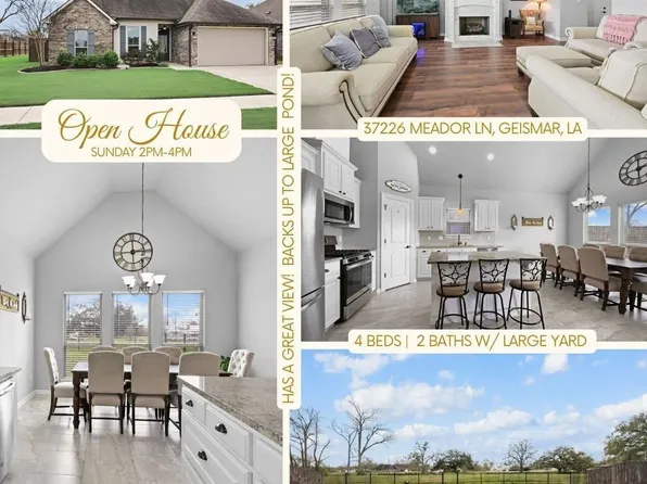 37226 Meador Ln, Geismar, LA 70734