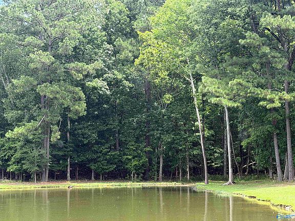 4th image of 13 County Road 131