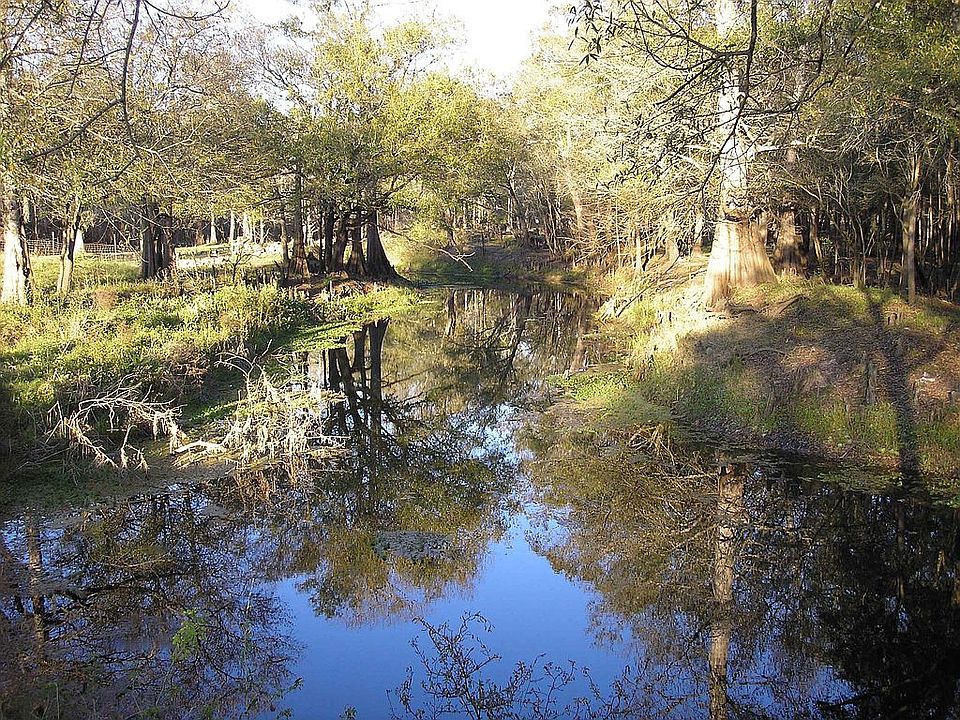 River out back downstream