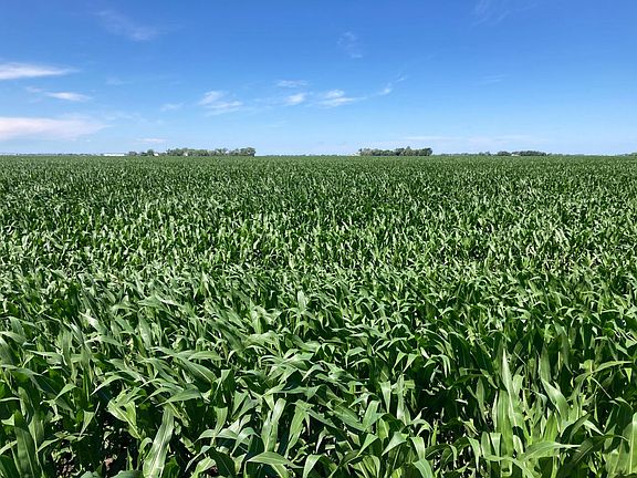 3rd image of 0 Lone Tree Rd