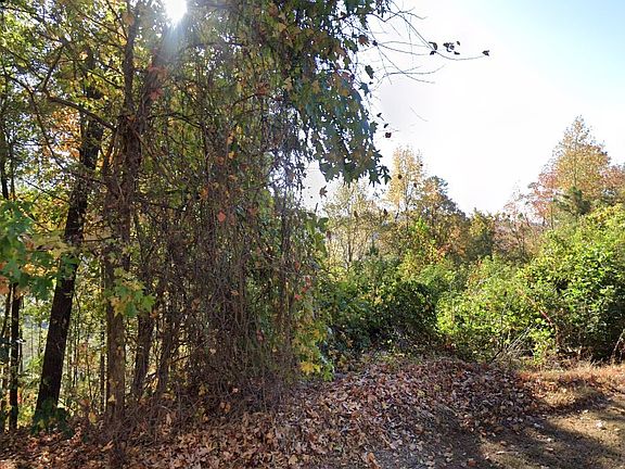 5th image of 4449 Eagle Point Dr