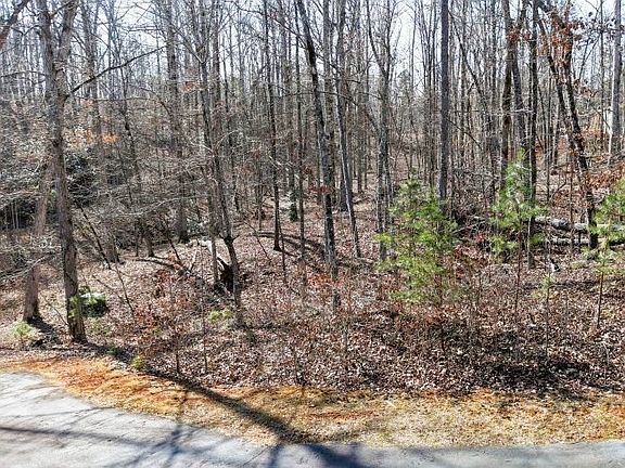 3rd image of 8 Gabriel Ln