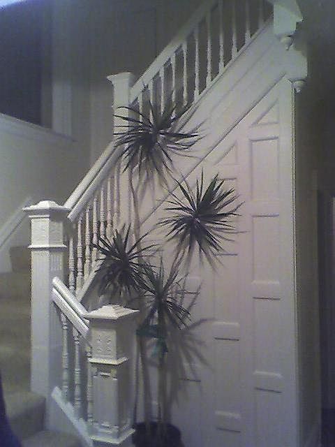 main entrance/stairwell - 1st floor