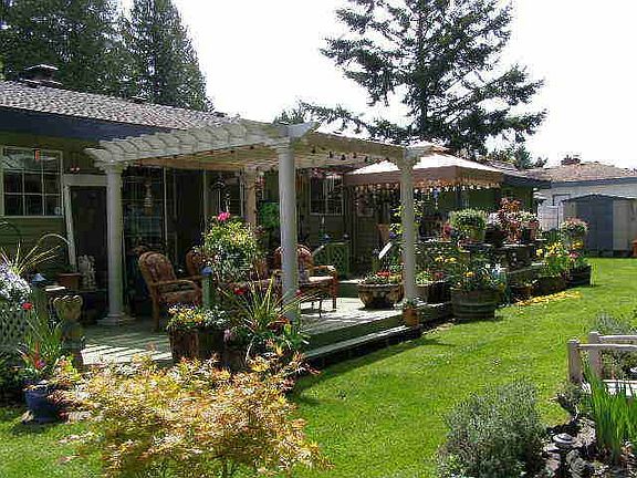backyard summertime