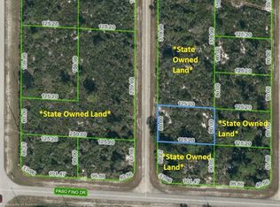 1203 Bordeaux St, Lake Placid, FL 33852