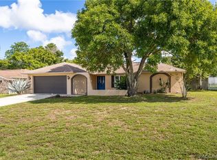 10483 Norvell Rd, Spring Hill, FL 34608