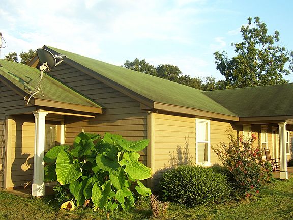 great plants and trees