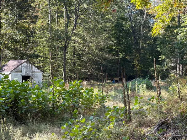 8942 Bean Blossom Rd, Trafalgar, IN 46181