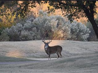 1192 Mesa Ct, Whitney, TX 76692