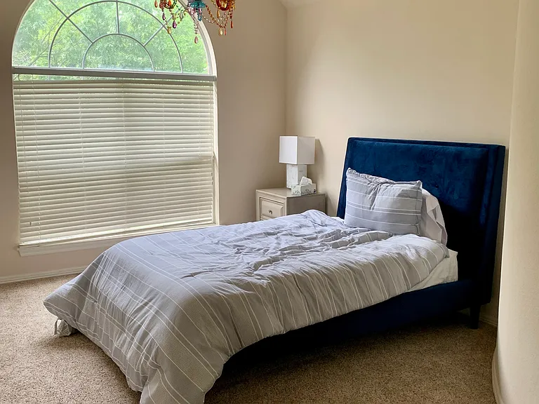 Wyndsor Creek Dr — Photo 10