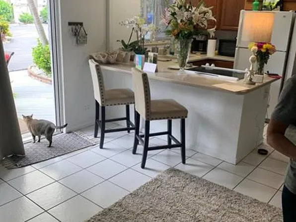 3705 S Flagler Dr APT 6, West Palm Beach, FL 33405